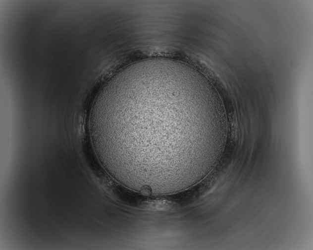 X0000096710695200802191508