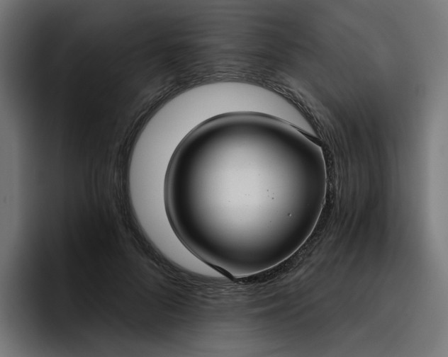 X0000096710696200802191508