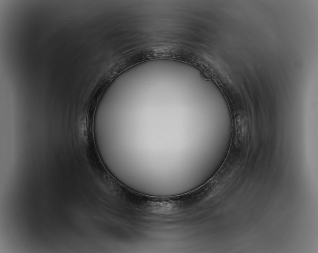 X0000096710698200802191508