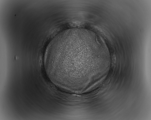 X0000096710699200802191508