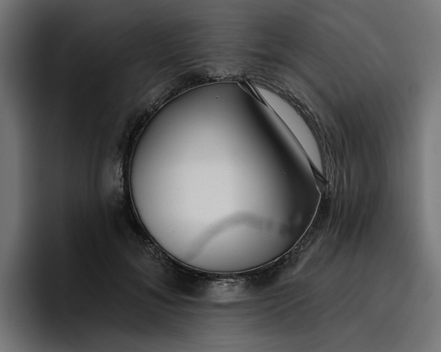 X0000096710700200802191508