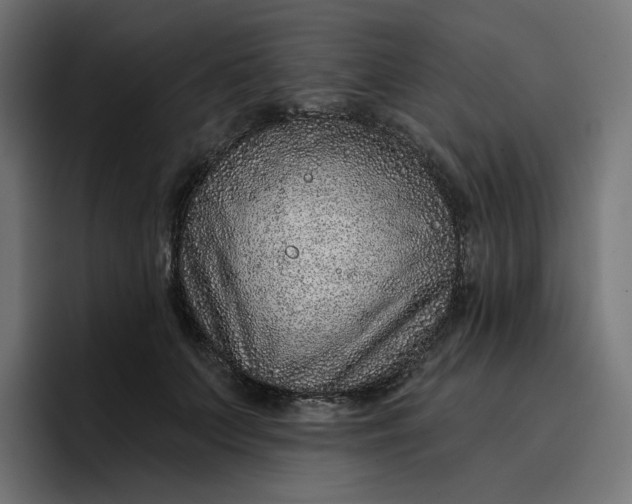 X0000096710703200802191508