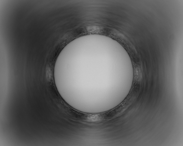 X0000096710705200802191508