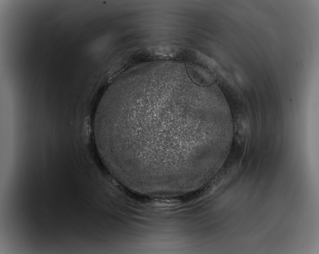 X0000096710707200802191508