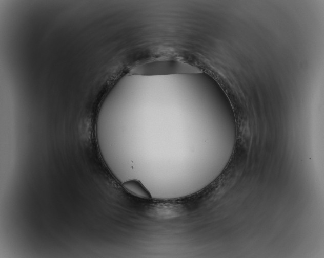 X0000096710708200802191508