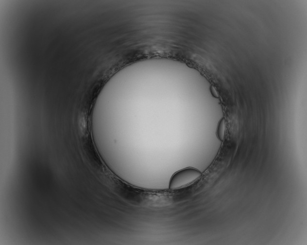 X0000096710709200802191508