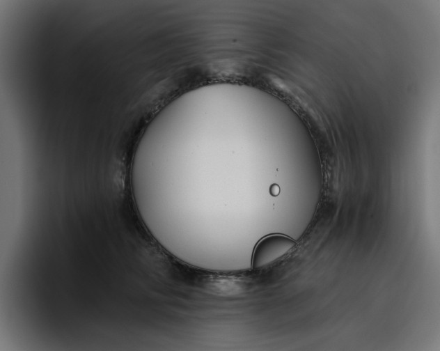 X0000096710710200802191508