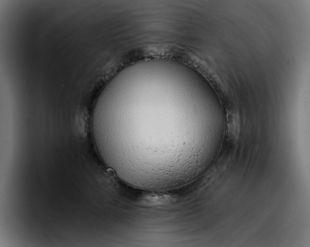 X0000096710712200802191508