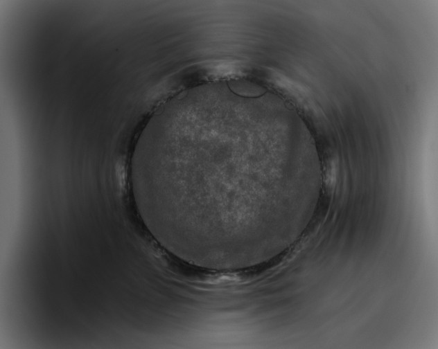 X0000096710715200802191508