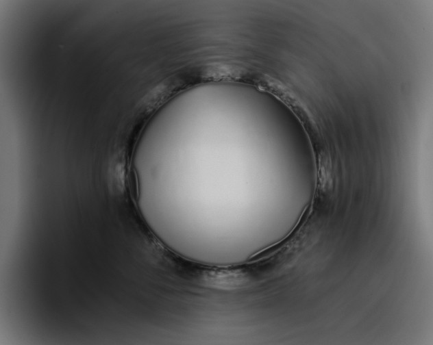 X0000096710716200802191508