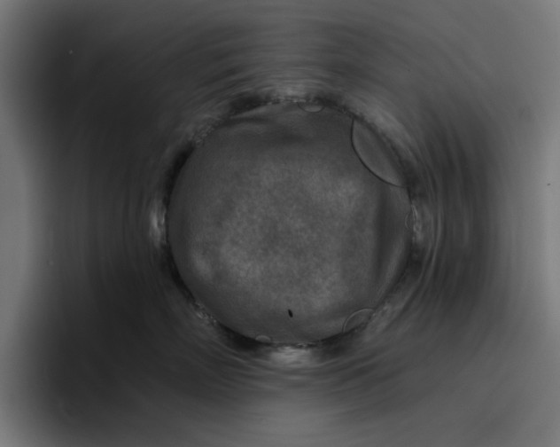 X0000096710718200802191508