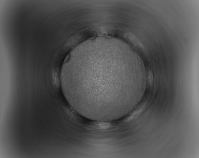 X0000096710719200802191508