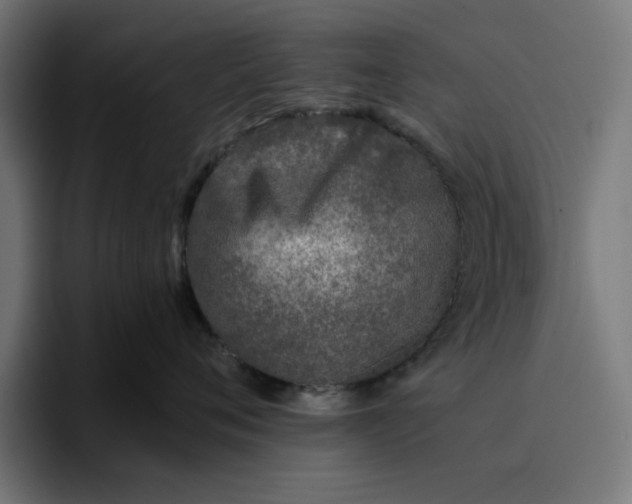 X0000096710720200802191508