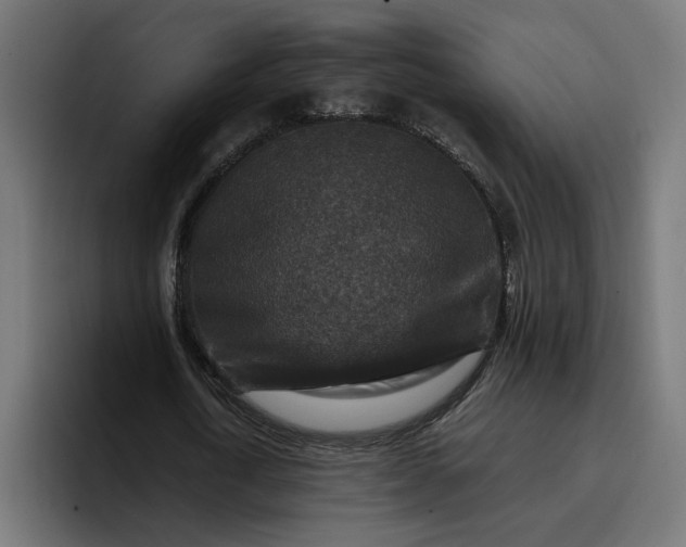 X0000096710722200802191507