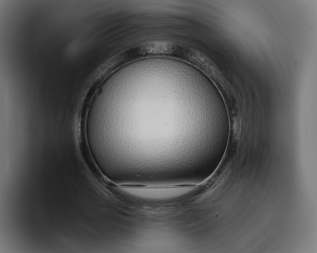 X0000096710725200802191507