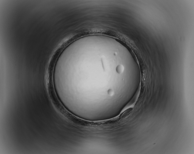 X0000096710726200802191508