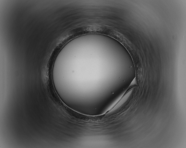 X0000096710727200802191508