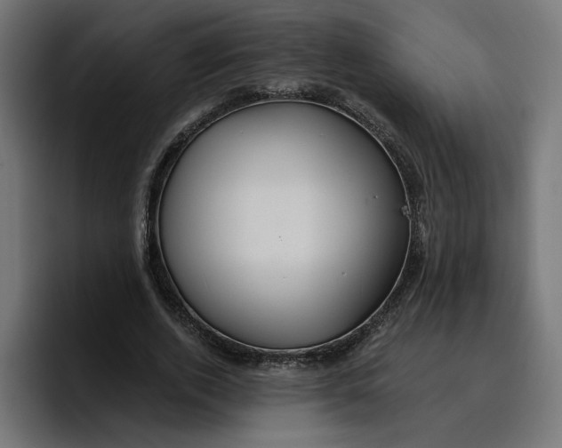 X0000096710728200802191508