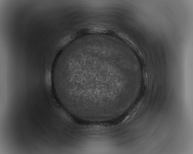 X0000096710729200802191508