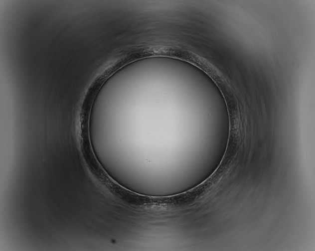 X0000096710730200802191508