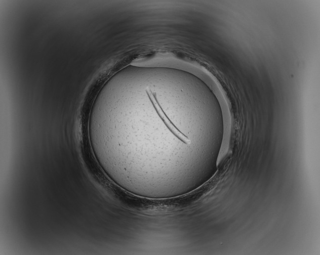 X0000096710734200802191508