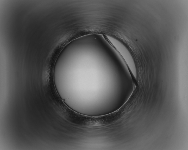 X0000096710735200802191508