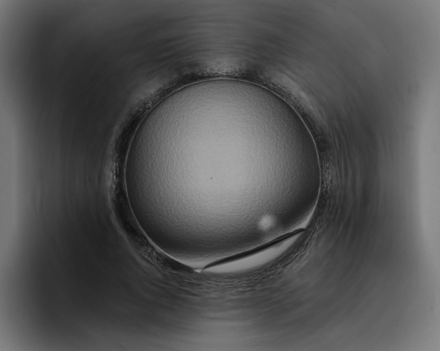 X0000096710736200802191508