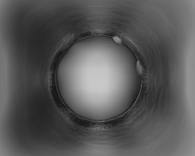 X0000096710738200802191508