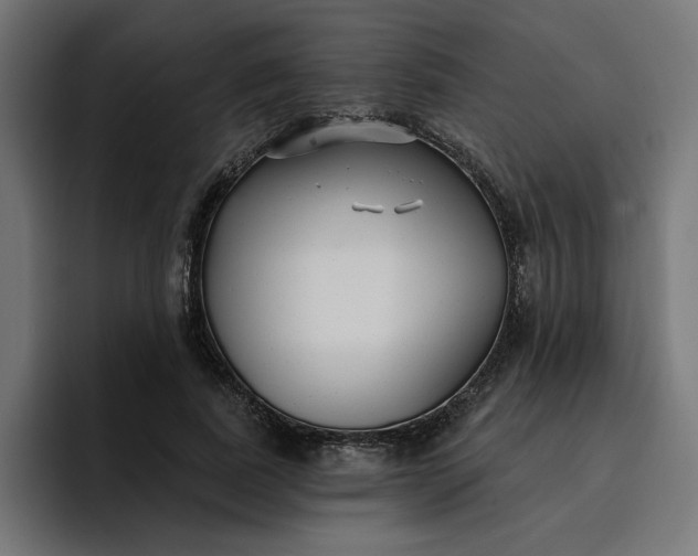 X0000096710739200802191508