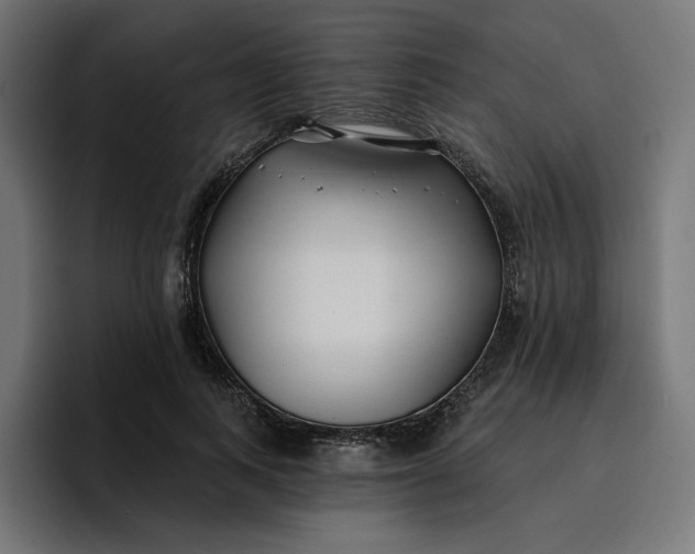 X0000096710743200802191508