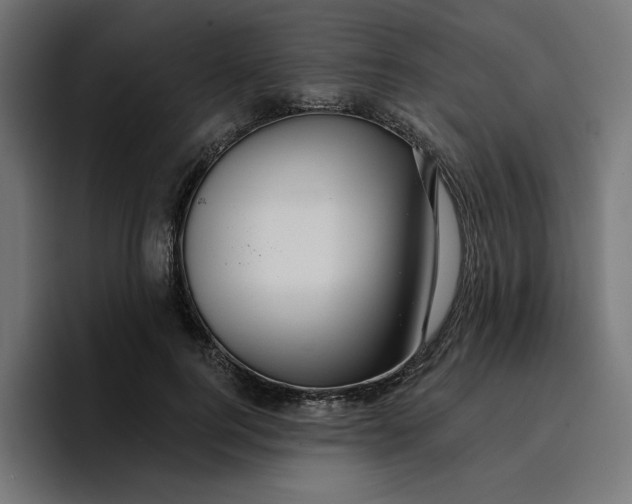 X0000096710744200802191508