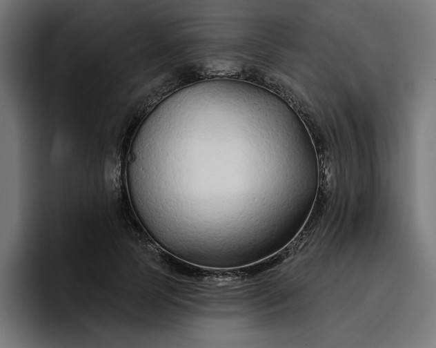 X0000096710745200802191508