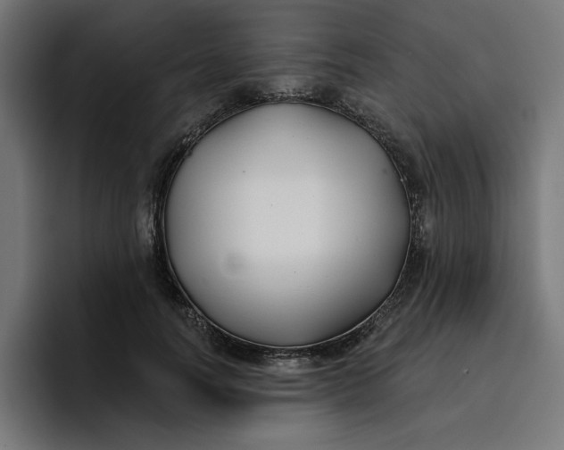 X0000096710746200802191508