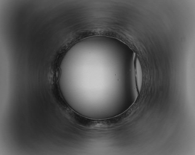 X0000096710750200802191508