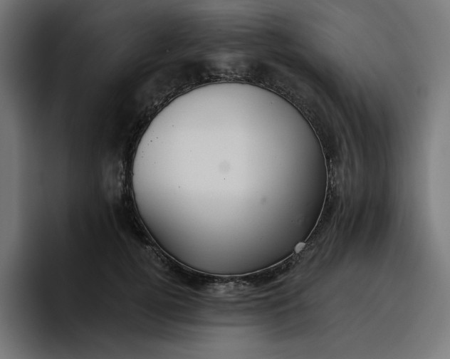 X0000096710752200802191508