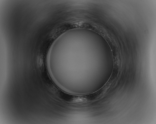 X0000096710754200802191508