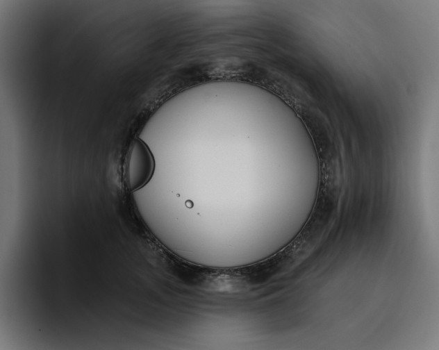 X0000096710755200802191508