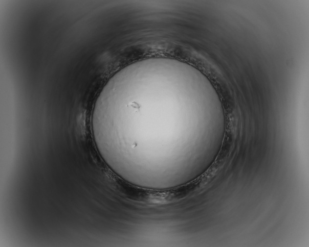 X0000096710757200802191508