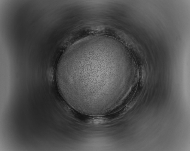 X0000096710758200802191508