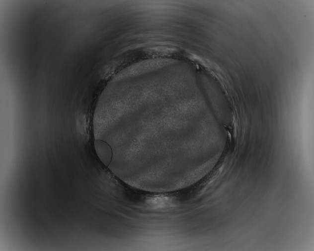 X0000096710759200802191508