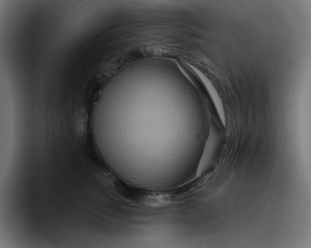 X0000096710760200802191508