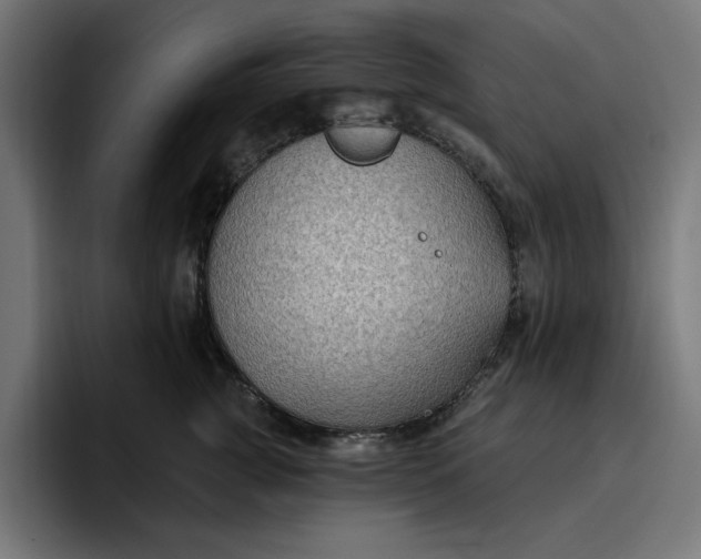 X0000096710761200802191508