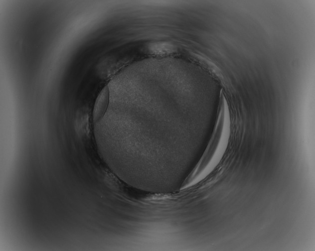 X0000096710762200802191508