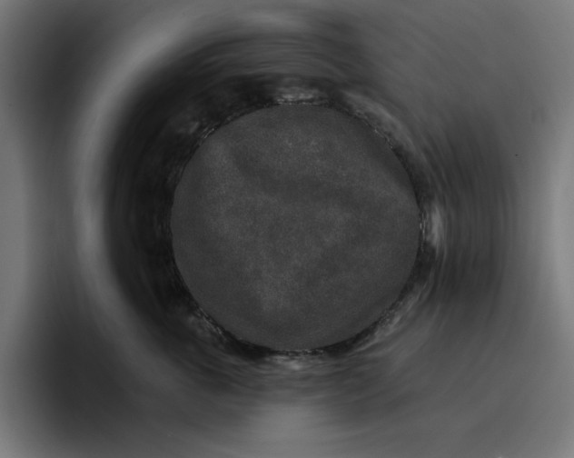 X0000096710763200802191508