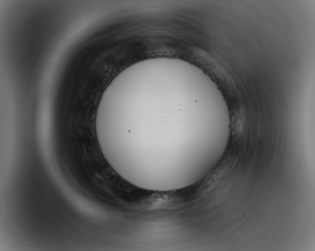 X0000096710764200802191508