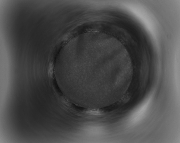 X0000096710767200802191508