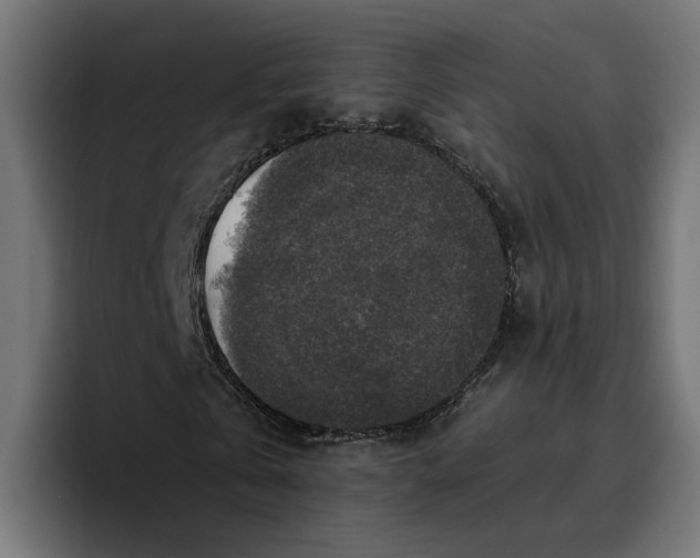 X0000096710769200802191507