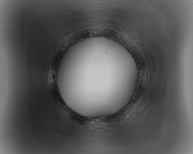 X0000096710770200802191507