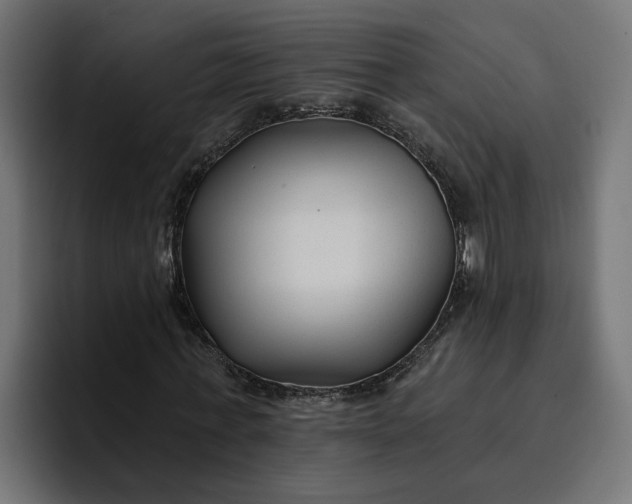 X0000096710771200802191507