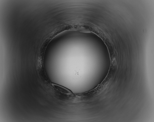 X0000096710772200802191507